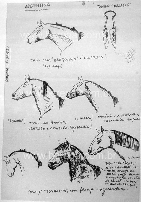 Desenhos e Esboços - Berega